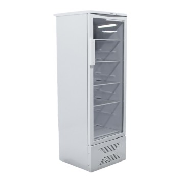 Холодильный шкаф Бирюса 310 